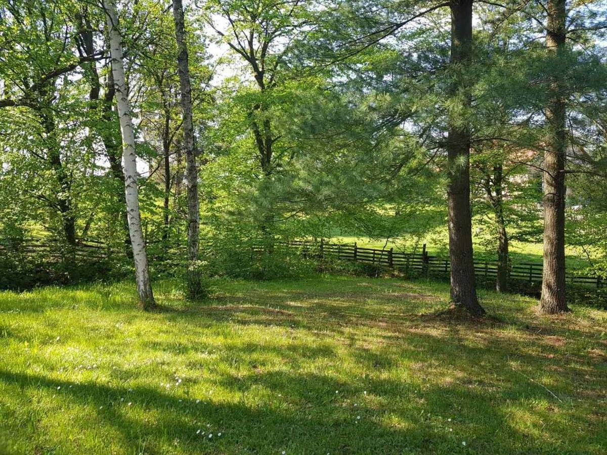 Takovo - Odmor U Selu Vila Gornji Milanovac Exterior foto