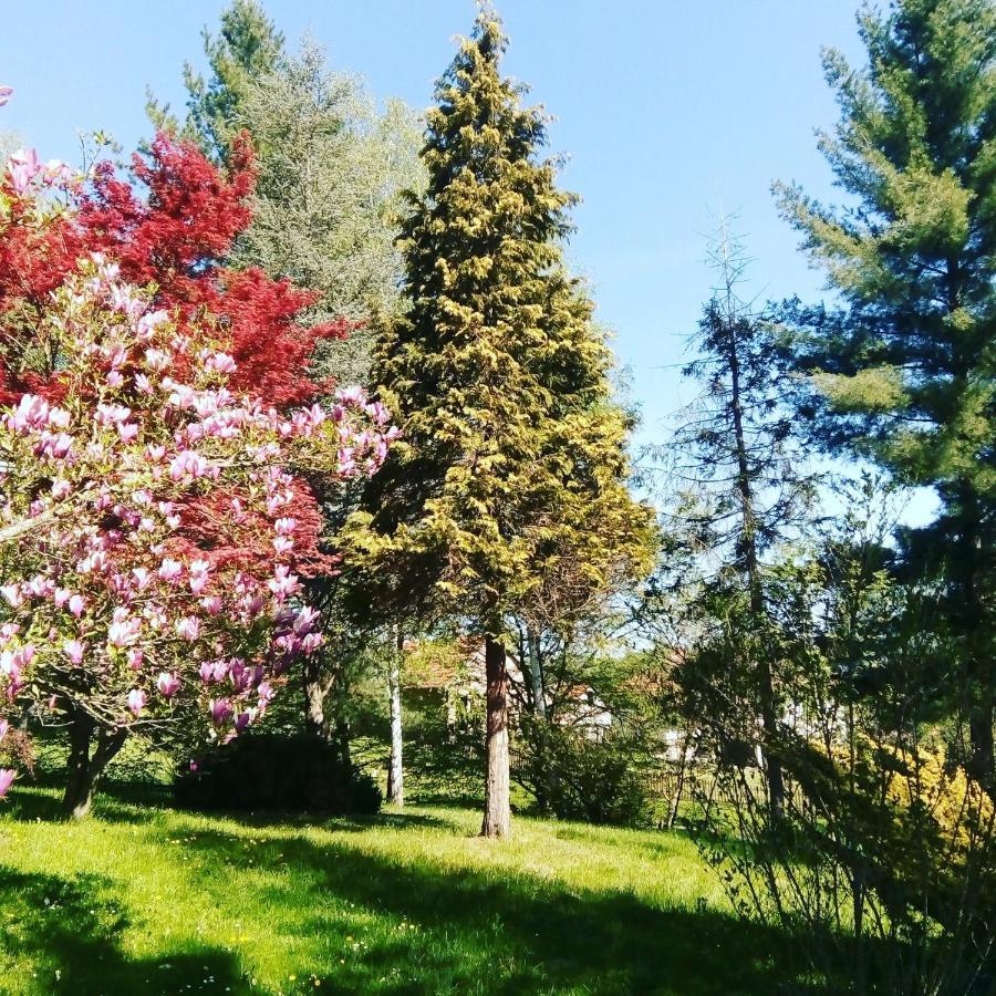 Takovo - Odmor U Selu Vila Gornji Milanovac Exterior foto