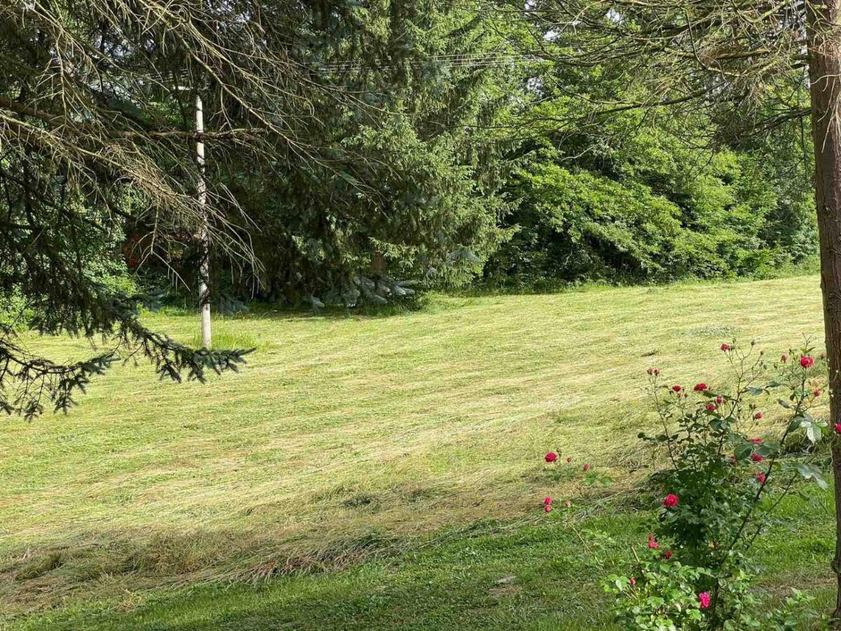 Takovo - Odmor U Selu Vila Gornji Milanovac Exterior foto