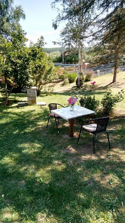 Takovo - Odmor U Selu Vila Gornji Milanovac Exterior foto