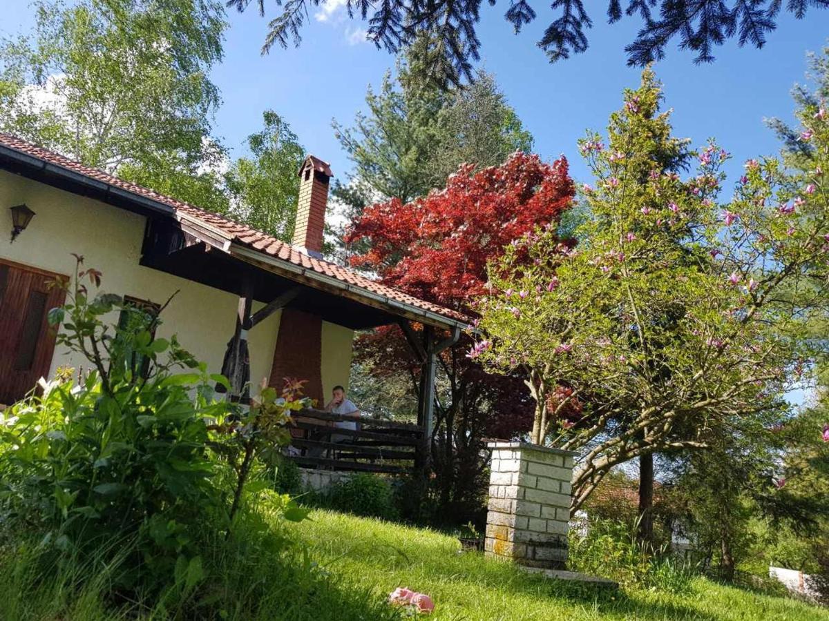Takovo - Odmor U Selu Vila Gornji Milanovac Exterior foto