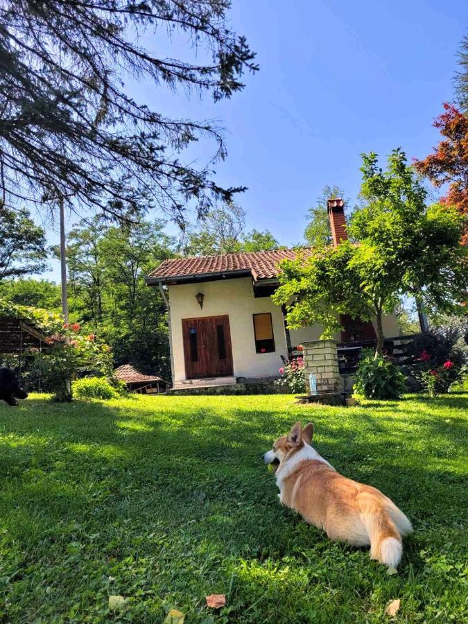 Takovo - Odmor U Selu Vila Gornji Milanovac Exterior foto