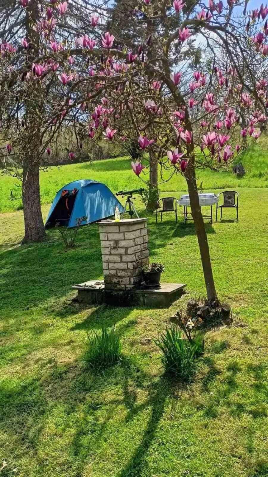 Takovo - Odmor U Selu Vila Gornji Milanovac Exterior foto